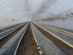 Blick in den Sonnentunnel